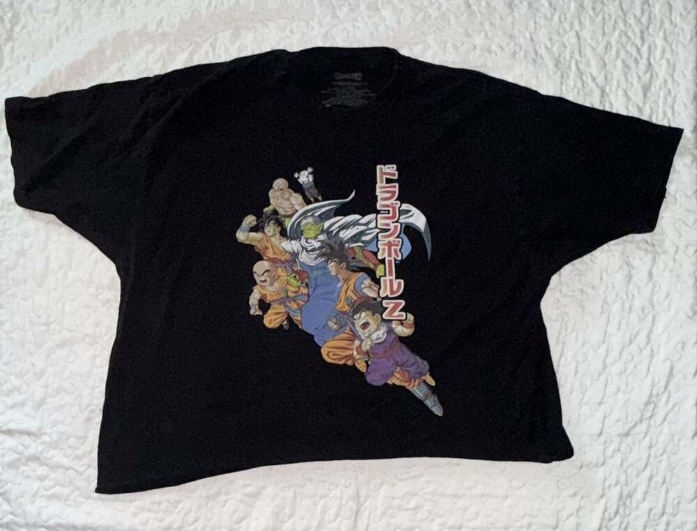 Dragon Ball Z Anime Graphic T-Shirt Black XX-Large
